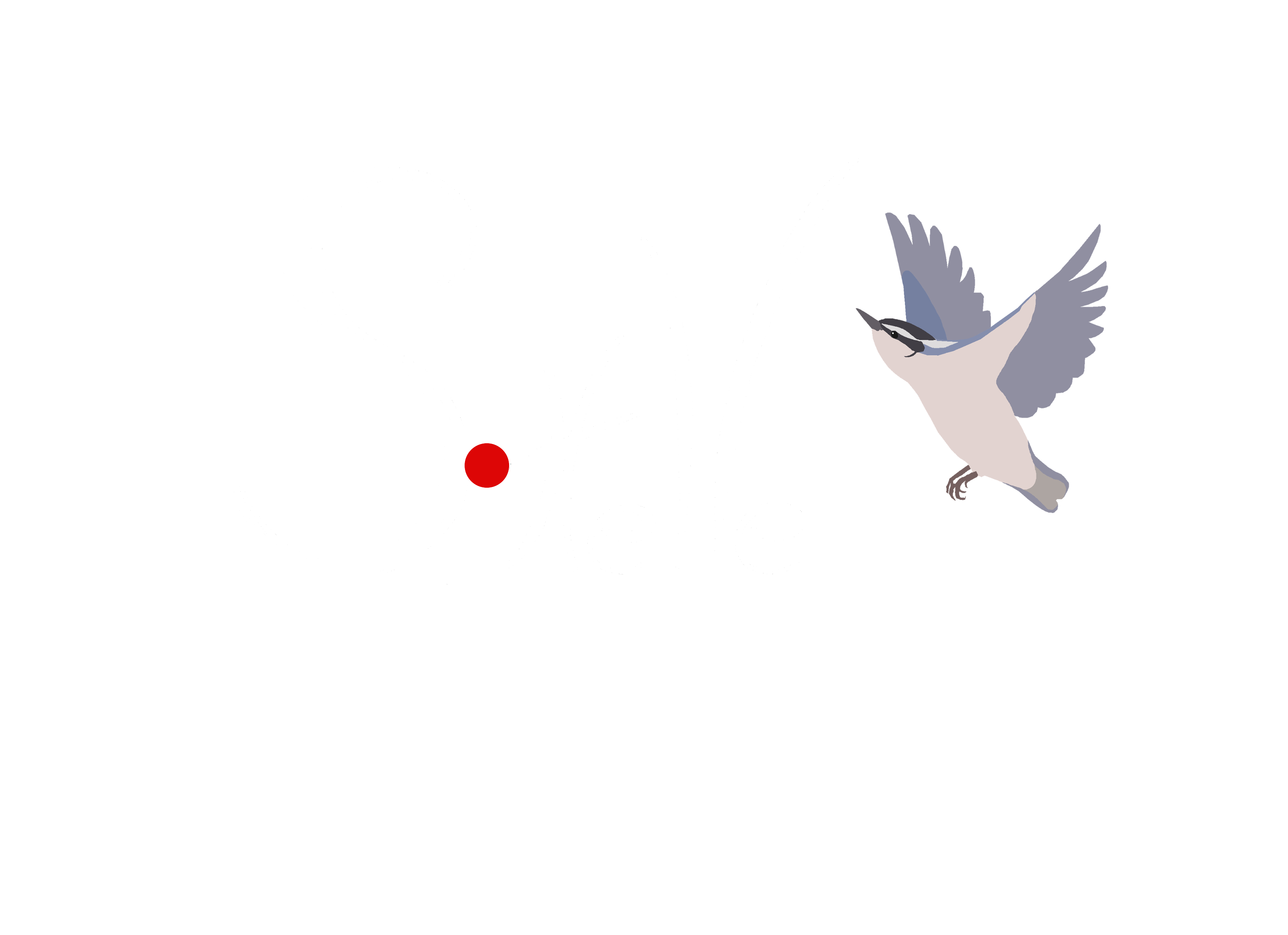 Sittelle Image